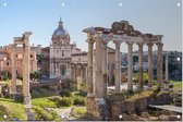 Forum Romanum gezien vanaf het Capitool in Rome - Foto op Tuinposter - 120 x 80 cm