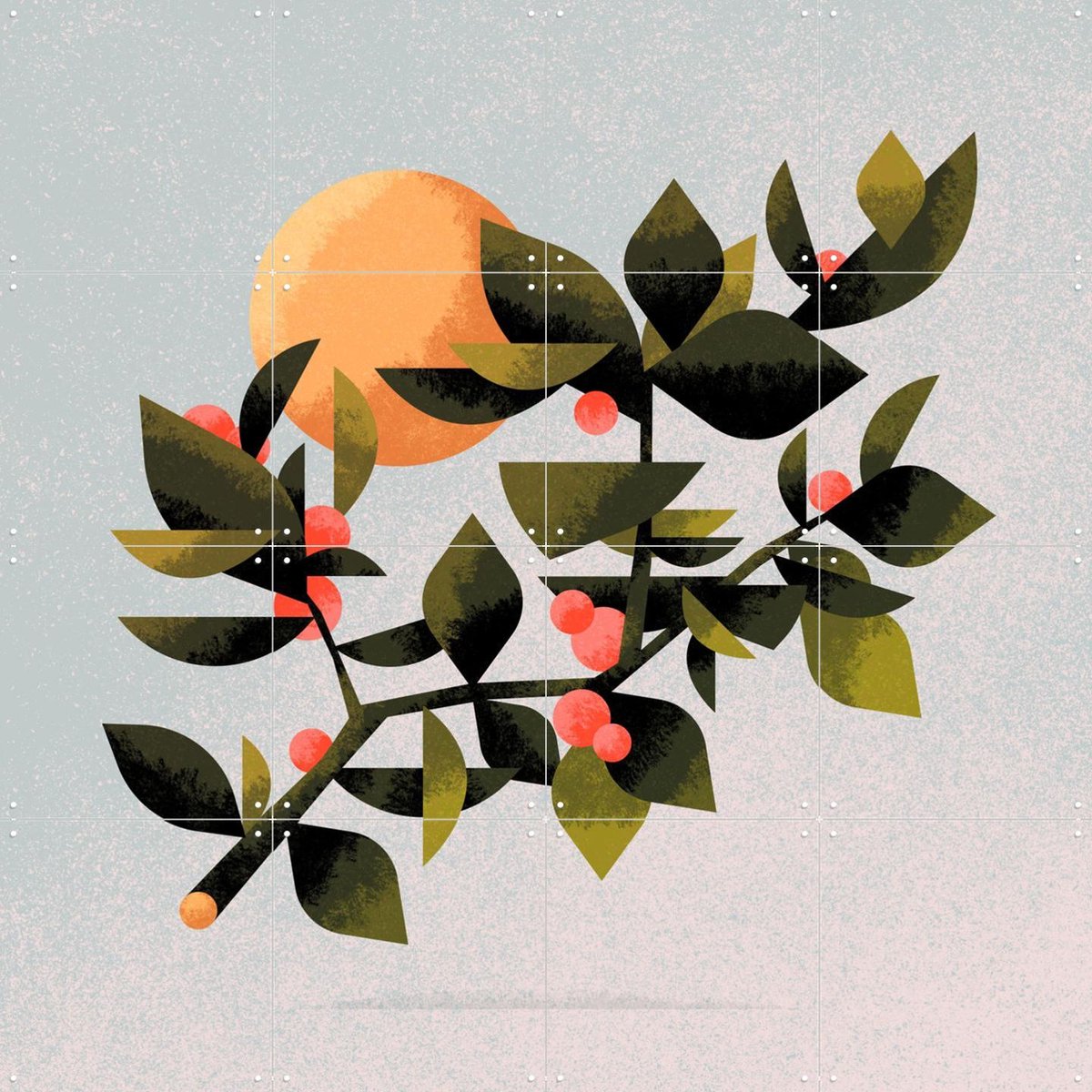 IXXI Plont 2, Studio Muti - 80 x 80 cm - Gratis ophangtool - Grote wanddecoratie en posters - Speels, Illustraties, Digitale Kunst, Grafisch Ontwerp