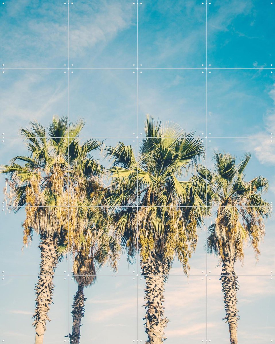 IXXI Barcelona Palm Trees, Pati Photography - 80 x 100 cm - Gratis ophangtool - Grote wanddecoratie en posters - Fotografie, Vintage, Slaapkamer