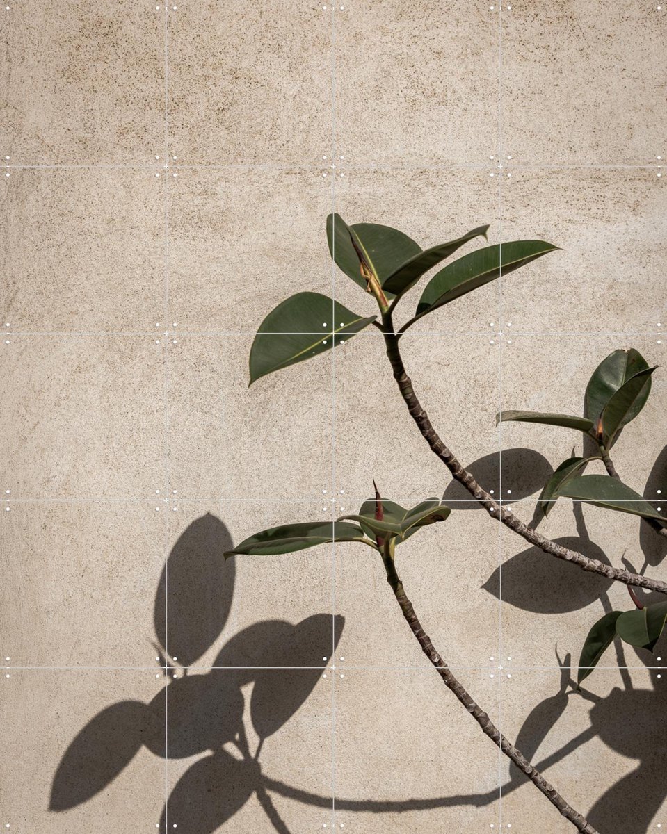 IXXI Shadow of Plant, Photolovers - 80 x 100 cm - Gratis ophangtool - Grote wanddecoratie en posters - Minimalisme, Fotografie, Slaapkamer, Woonkamer