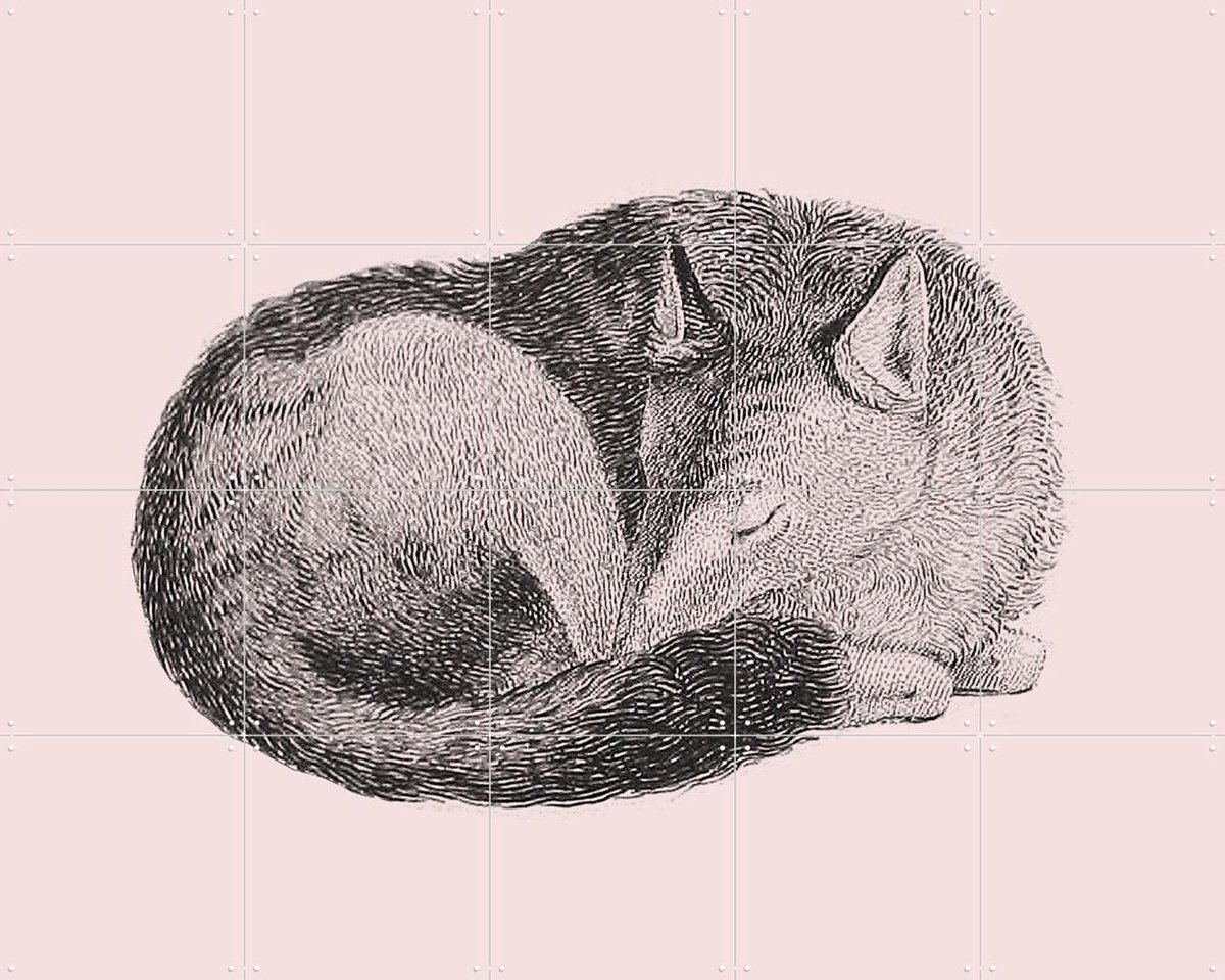 IXXI Sleeping Fox pink, IXXI - 100 x 80 cm - Gratis ophangtool - Grote wanddecoratie en posters - Line art, Illustraties, Houtsnede, Kinderkamer