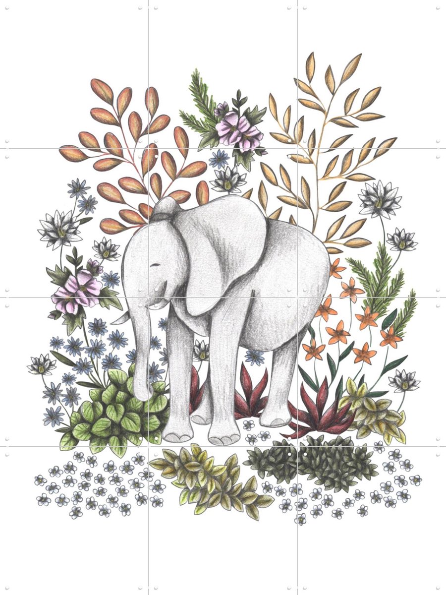 IXXI Safari Elephant, Cecilia Battaini - 60 x 80 cm - Gratis ophangtool - Grote wanddecoratie en posters - Illustraties, Fantasierijk, Line art