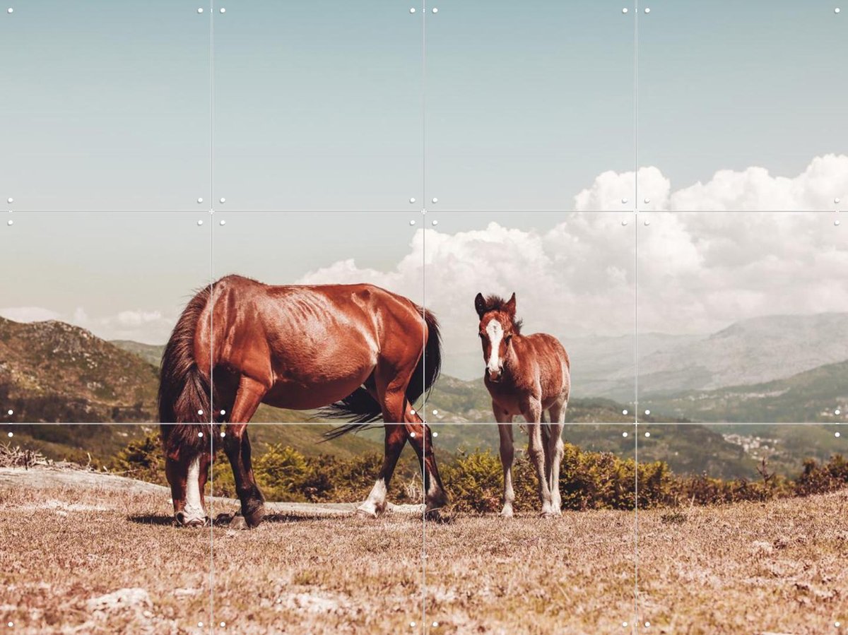 IXXI Wild Horses, Ingrid Beddoes - 80 x 60 cm - Gratis ophangtool - Grote wanddecoratie en posters - Fotografie, Naturalisme, Woonkamer, Dieren