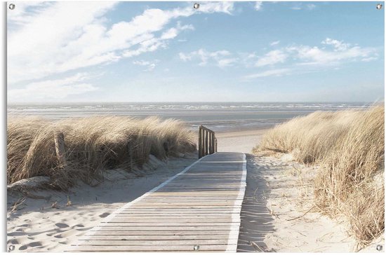Affiche jardin Dunes