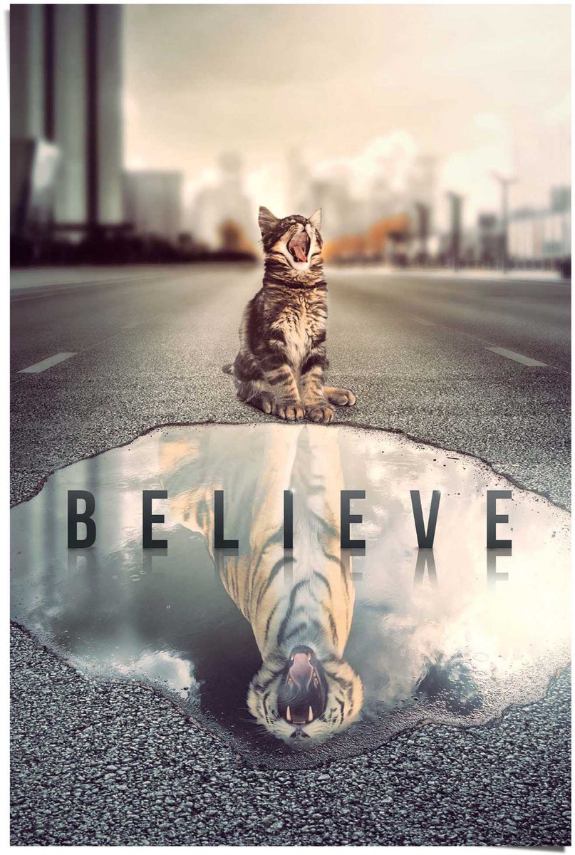 REINDERS Poster Believe - 91,5 x 61 - Papier - REINDERS Bonte kleuren