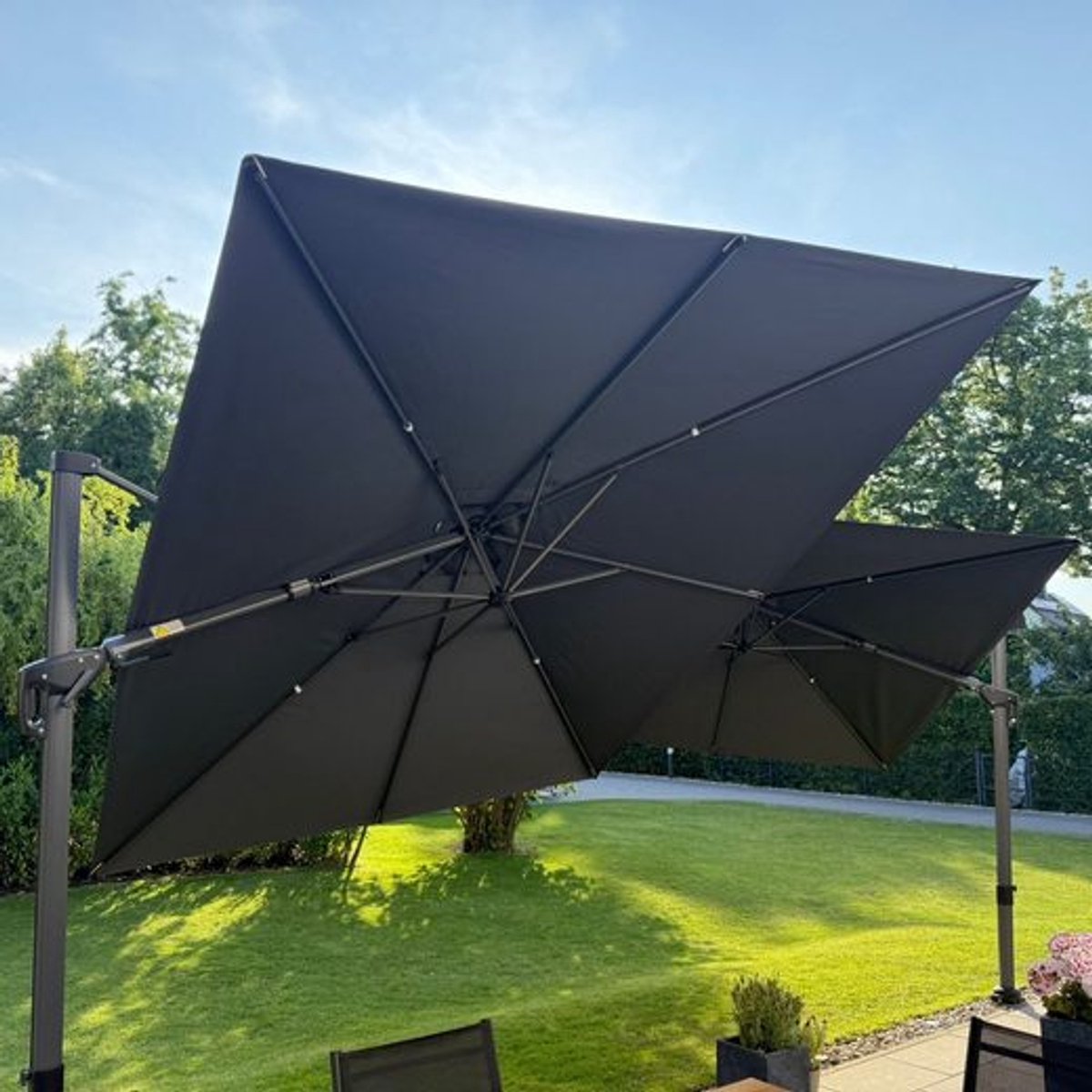Purple Leaf Parasol déporté 250x250 cm - Gris