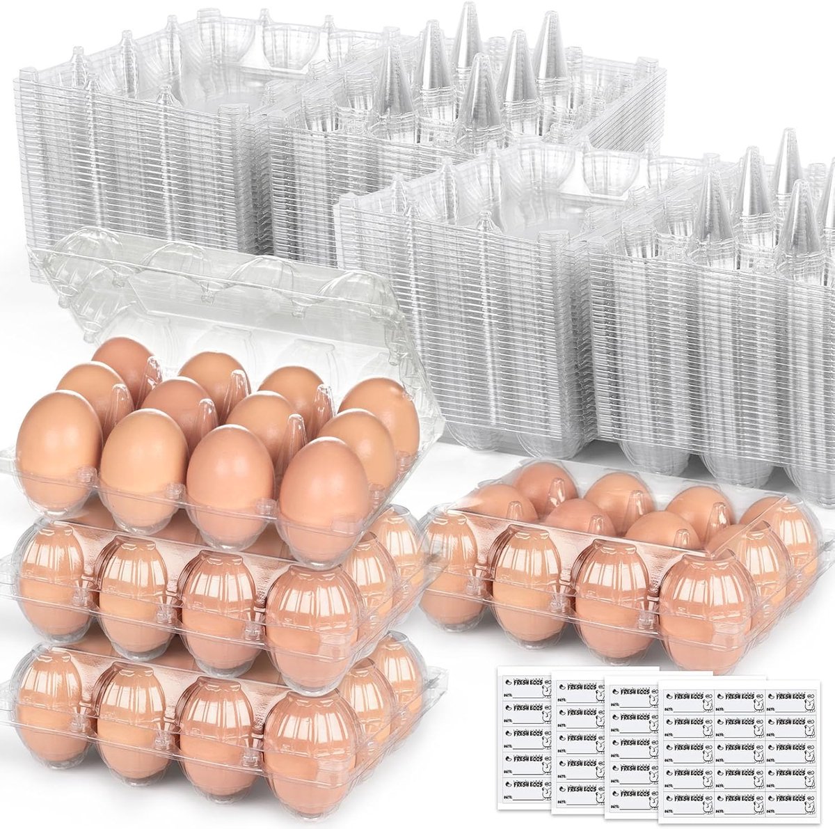 60x Doorzichtige Eierdozen Bulk - 12 Stuks Per Doos - Opslag & Display voor Kippeneieren