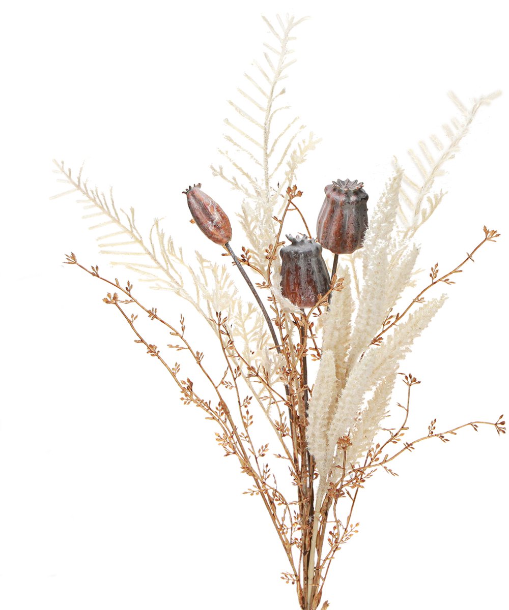 Viana Maanzaaddozen, decoratieve gedroogde bloemen, kunstmatige varen, crème Natuur
