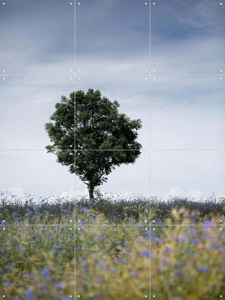 IXXI Summer Meadow, Mareike Böhmer - 60 x 80 cm - Gratis ophangtool - Grote wanddecoratie en posters - Fotografie, Kleurrijk, Natuur, Zomer