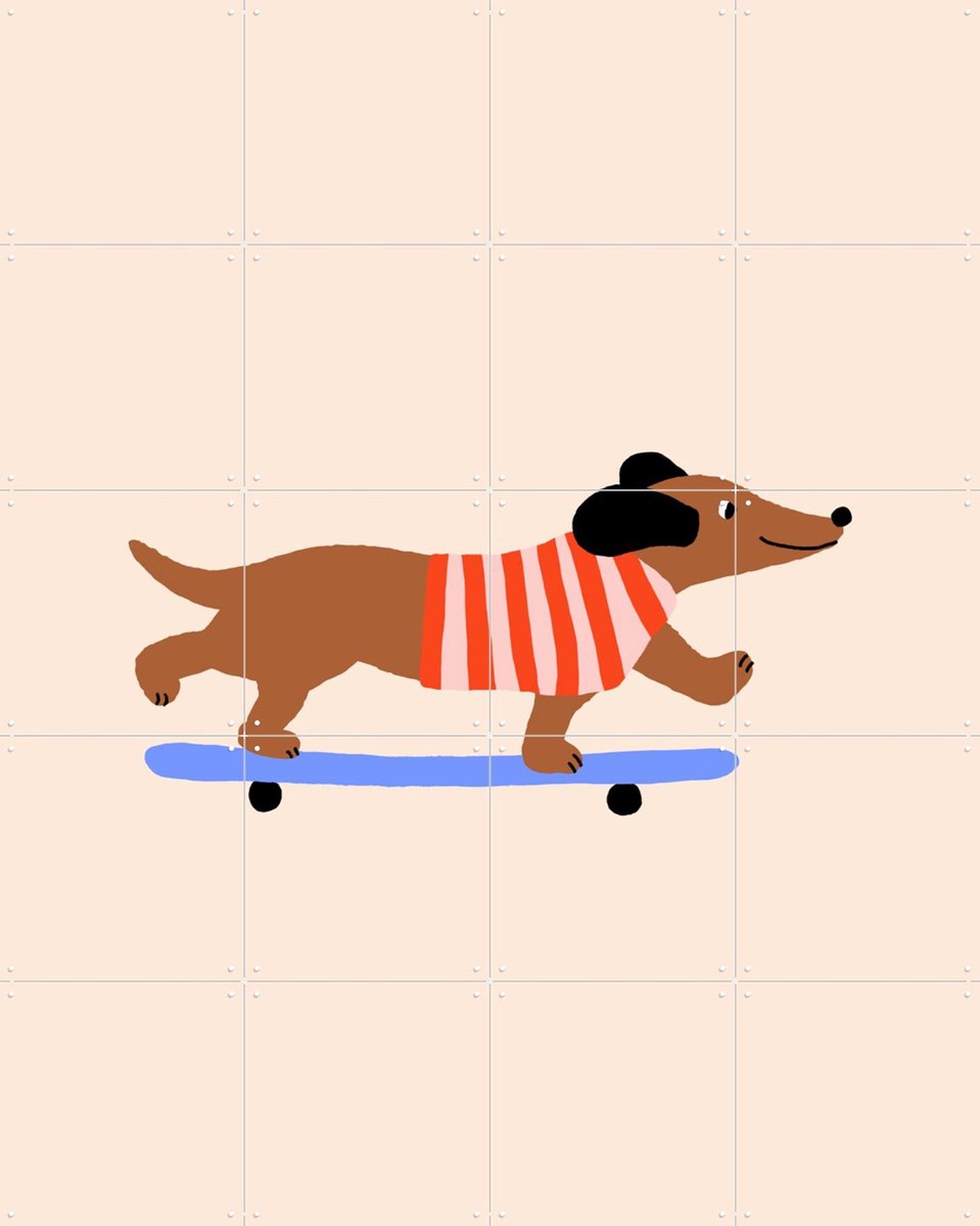 IXXI Dachshund on Skateboard, Maren Gross & Various - 80 x 100 cm - Gratis ophangtool - Grote wanddecoratie en posters - Illustraties, Cartoonesk