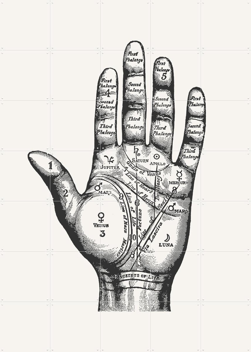 IXXI Palmistry, Aster Edition - 100 x 140 cm - Gratis ophangtool - Grote wanddecoratie en posters - Technische Tekening, Houtsnede, Illustraties