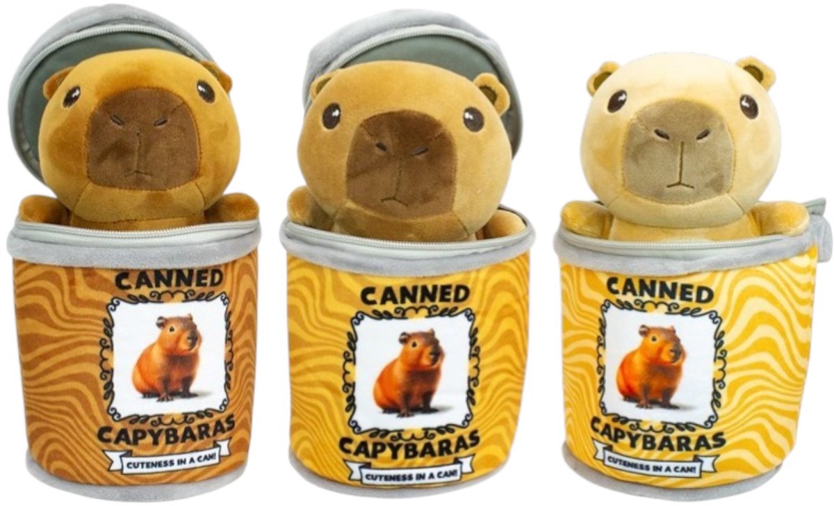 Pluche Capybara 16,5cm in Pluche Blik 13x18cm 3 assorti (levering 1 capybara in blik)