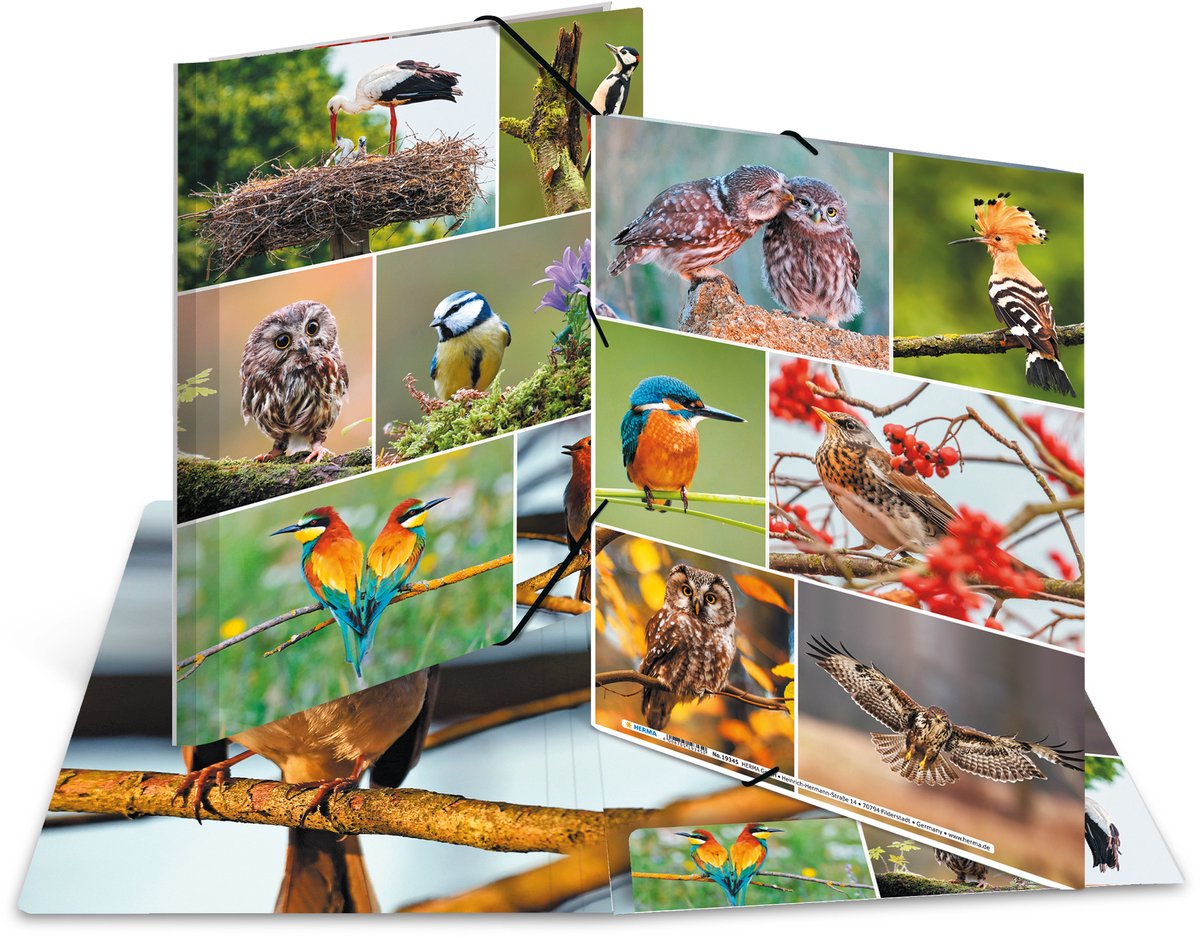 Elastomappen A4 Karton inheemse vogels
