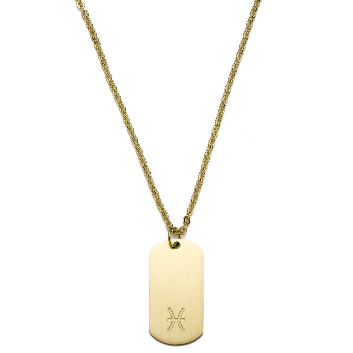 Goudkleurige Stalen Ketting met Sterrenbeeld Vissen