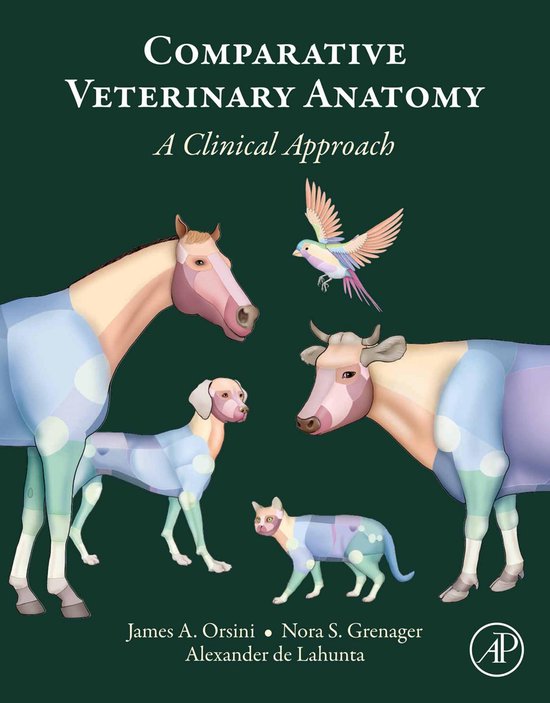 Comparative Veterinary Anatomy - cover
