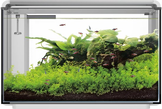 Superfish Home Proled 85 Aquarium - Aquarium - Wit