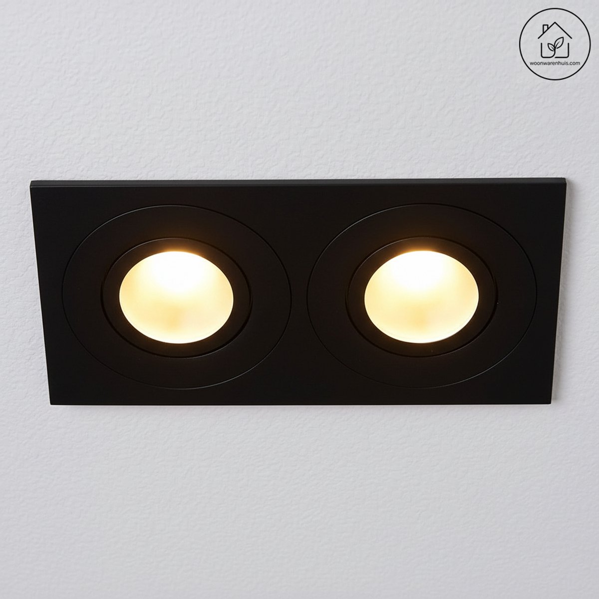 Spotz inbouwspot dubbel dimbaar IP65 mat zwart