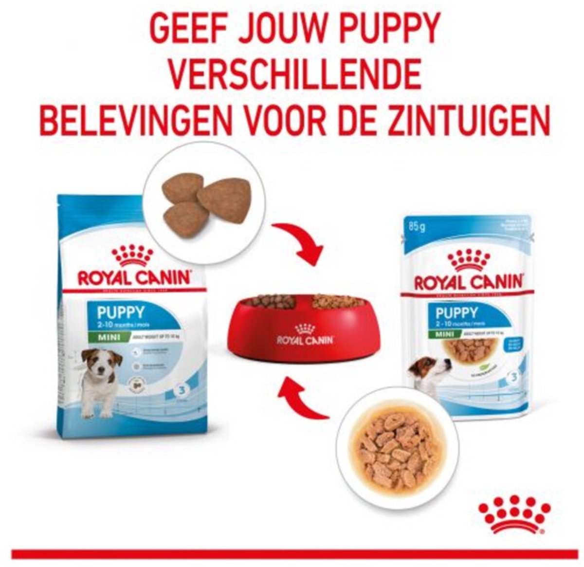 Royal Canin Mini - Puppy - 12 x 85 g - Natvoer Hond - Pouch thumbnail 8