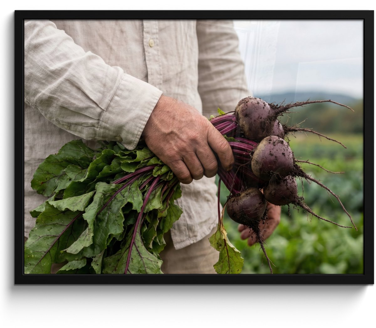 FrameYourWall Poster in lijst - Fotolijst 70x50 cm - Posters - Bieten - Vers - Moestuin - Posterlijst zwart - Decoratie - Wanddecoratie woonkamer - Muurdecoratie slaapkamer
