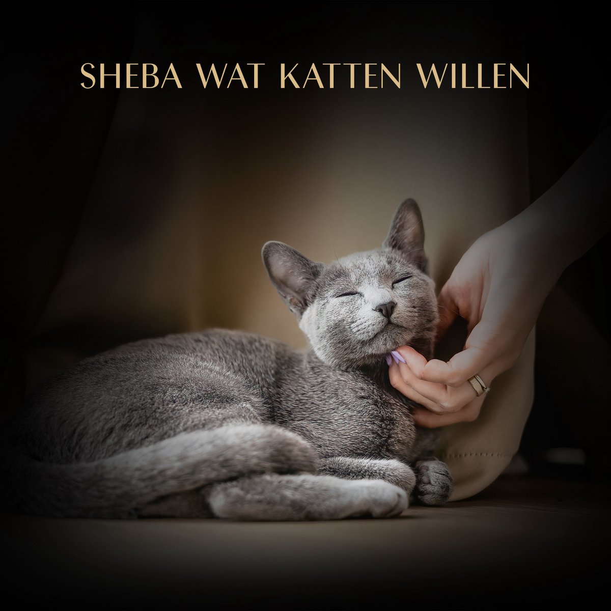 Sheba Sheba Soup Tonijn - 8 x 40 gram