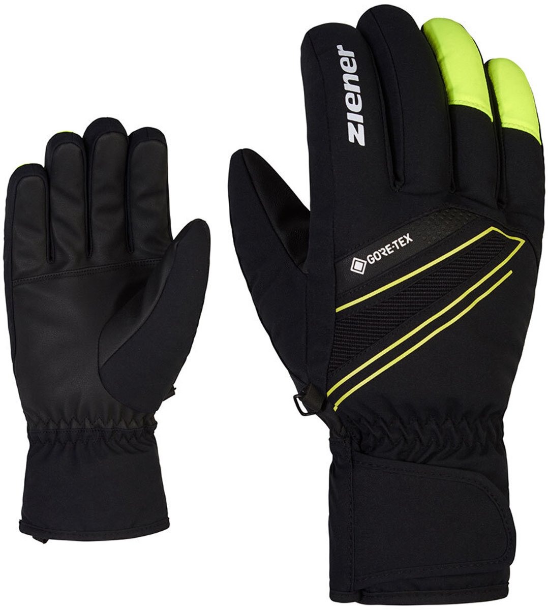 Alpine skihandschoenen Ziener Gunar GTX Zwart