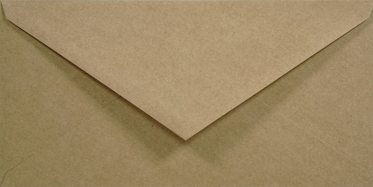 Ecologische bruine enveloppen DL - 110 x 220 mm - 25 stuks - NK natgelijmde - 100 gram - Eko Design - Netuno