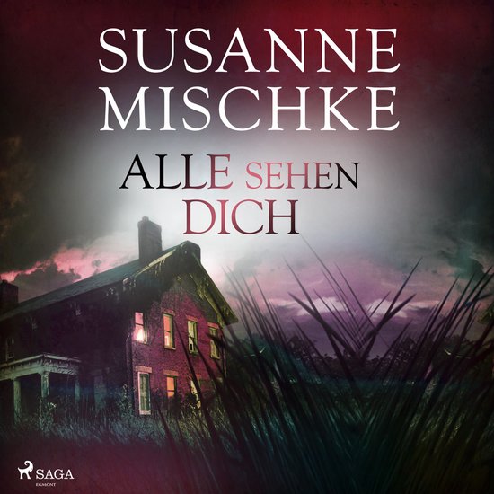 Alle sehen dich (Hannover-Krimis, Band 12) - cover