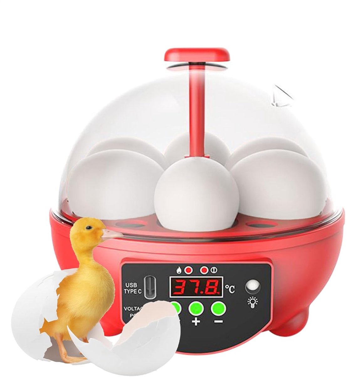 Broedmachine Eieren - Vogel Incubator - Pluimvee Thuis - Automatische Temperatuur Vochtigheid - 6 Eieren Capaciteit