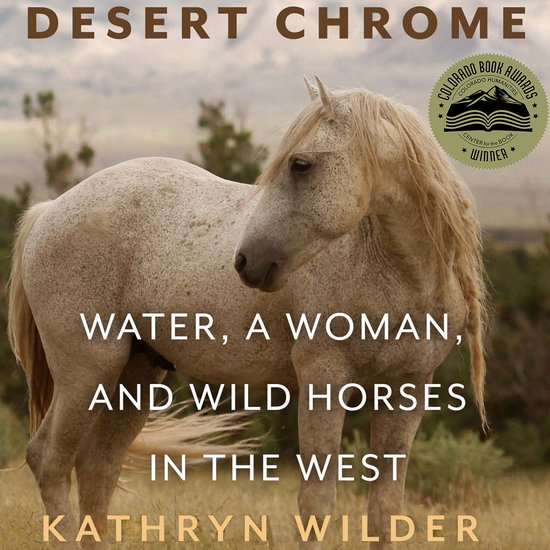Desert Chrome - cover