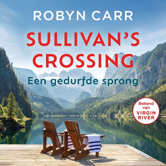 Een gedurfde sprong - cover