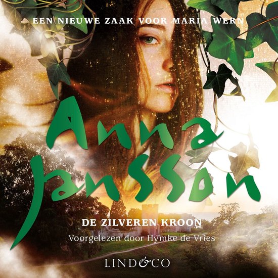 De zilveren kroon - cover