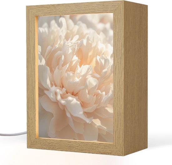 Gros plan détaillé d'une pivoine rose pâle dans un cadre photo en bois éclairé.