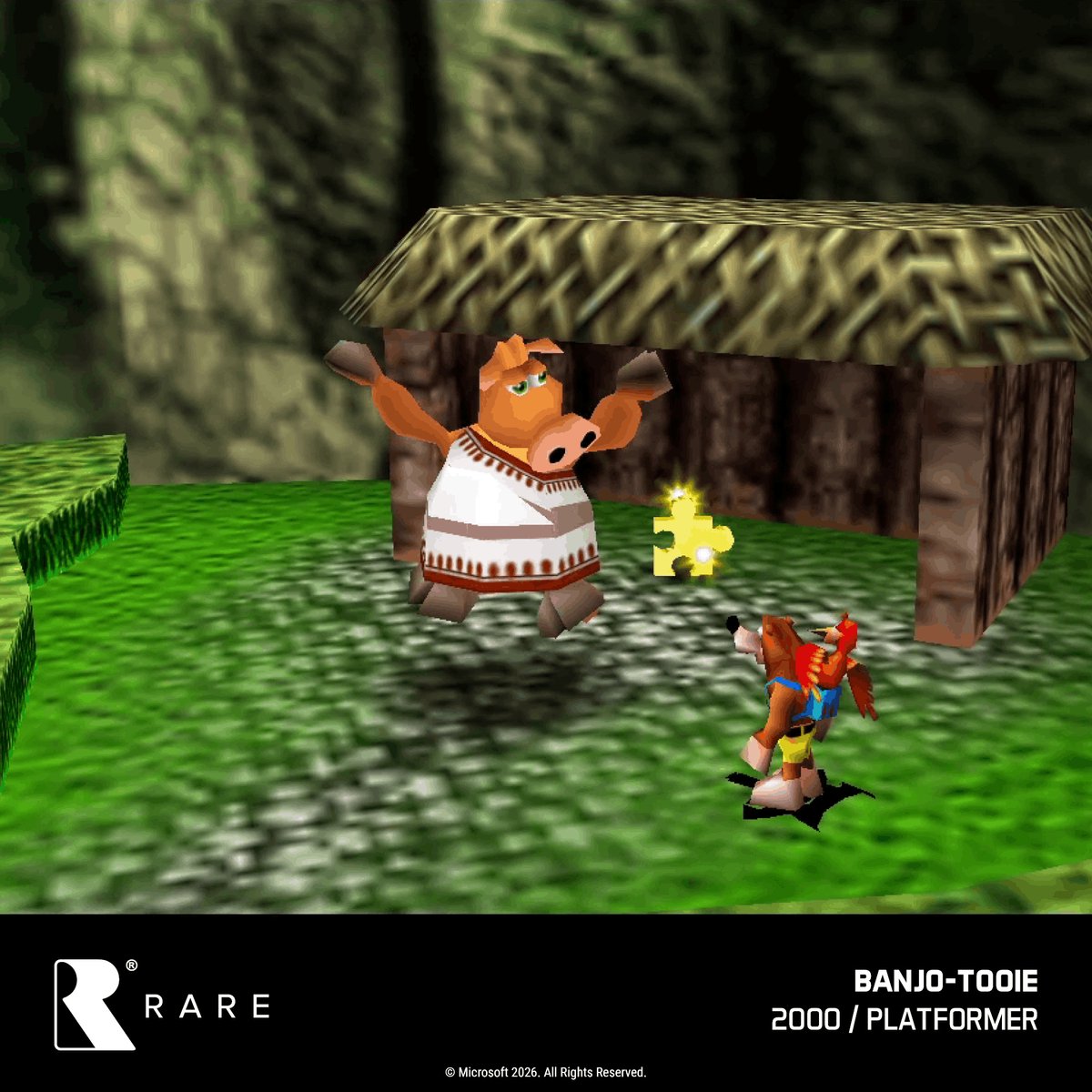 Evercade Nexus - Inclusief Carry Case - Banjo Kazooie & Banjo Tooie - Zwart — cadeau in Games, Films & Muziek - foto 5