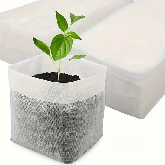 Een jonge plant met groene bladeren in een vierkante witte en grijze niet-geweven zak. Achtergrond met meer zakken.