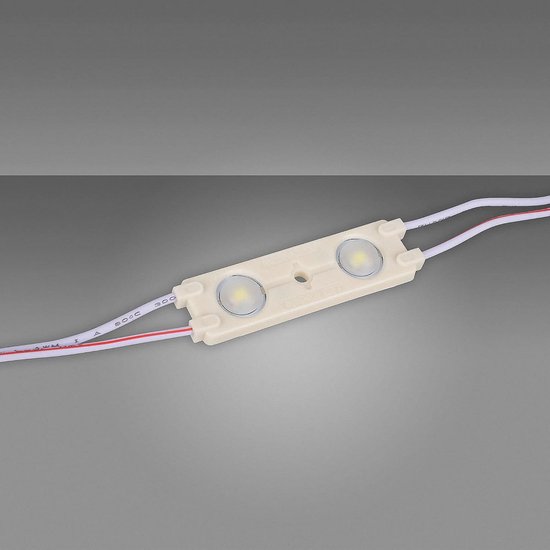 LED-moduleset 20 x 2 LED Power Module 0,72 W 6500 K 12 V IP65 voor ...
