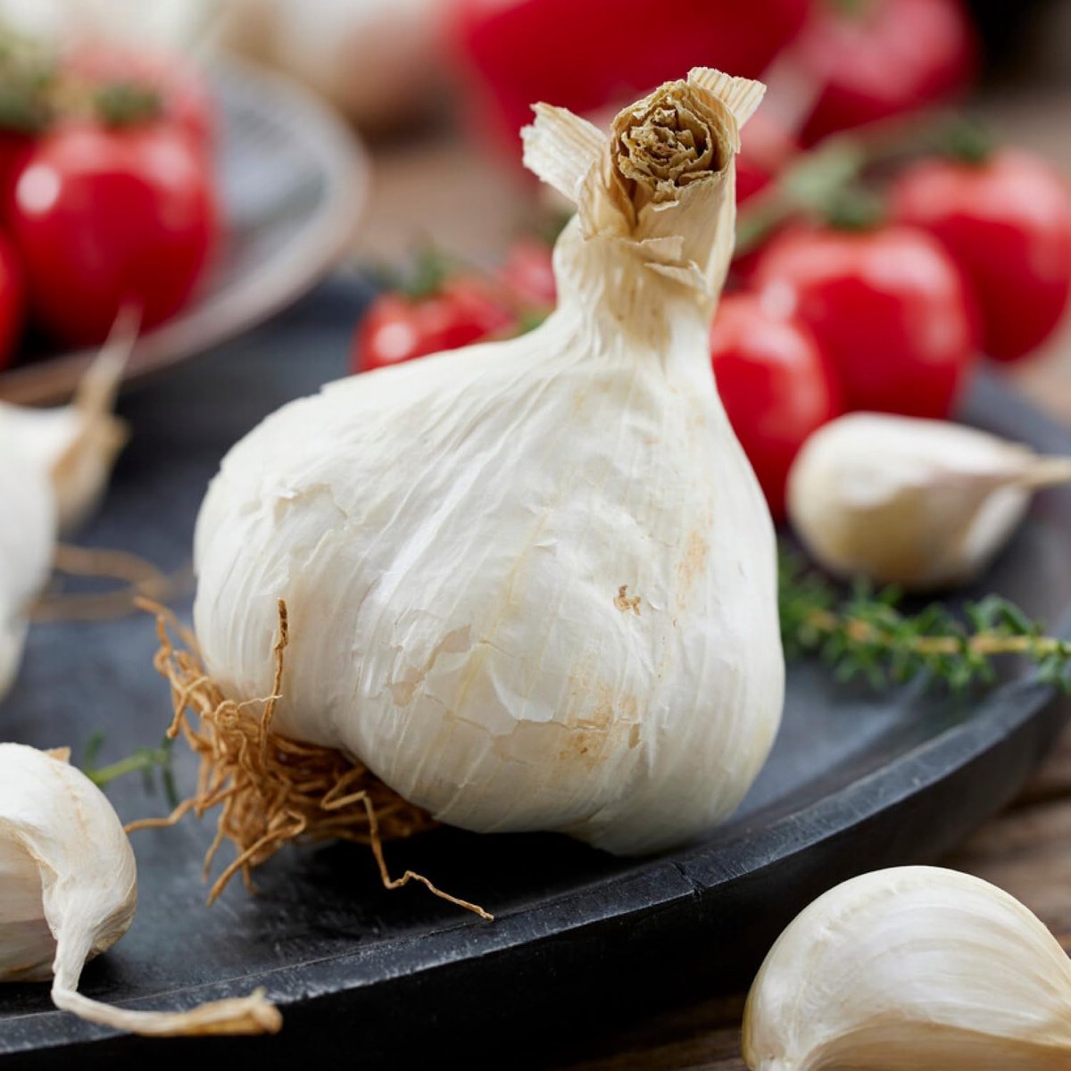 Knoflook Bollen - Plantknoflook - Messidrome - Knoflookbollen - 500 gram - Wit - Plant voor moestuin