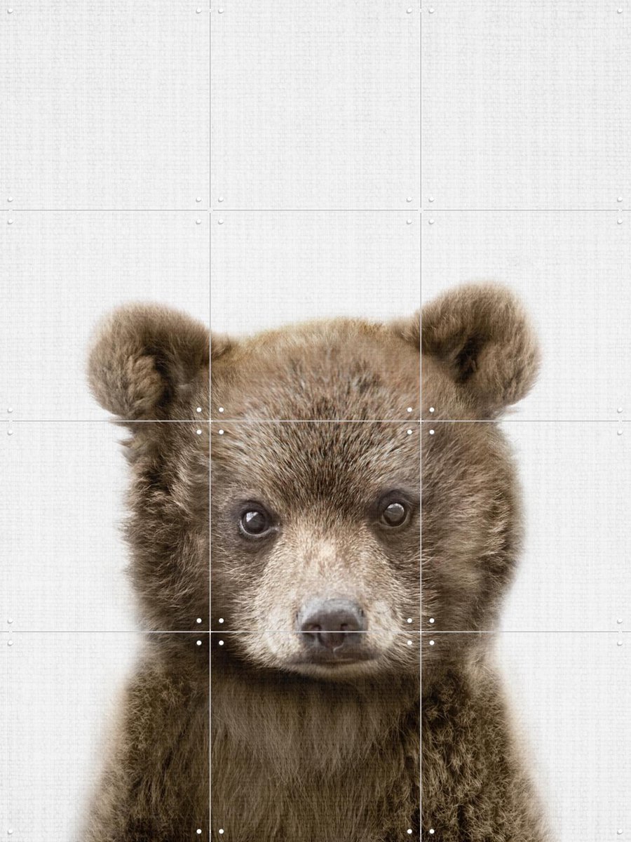IXXI Print 353 Bear, Lila + Lola - 60 x 80 cm - Gratis ophangtool - Grote wanddecoratie en posters - Realisme, Fotografie, Babykamer, Woonkamer