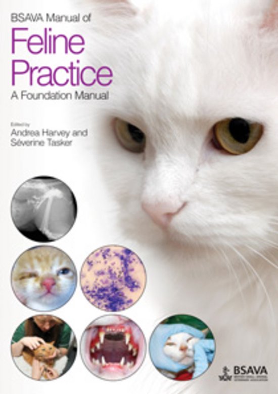 BSAVA Manual Of Feline Practice Foundati - cover