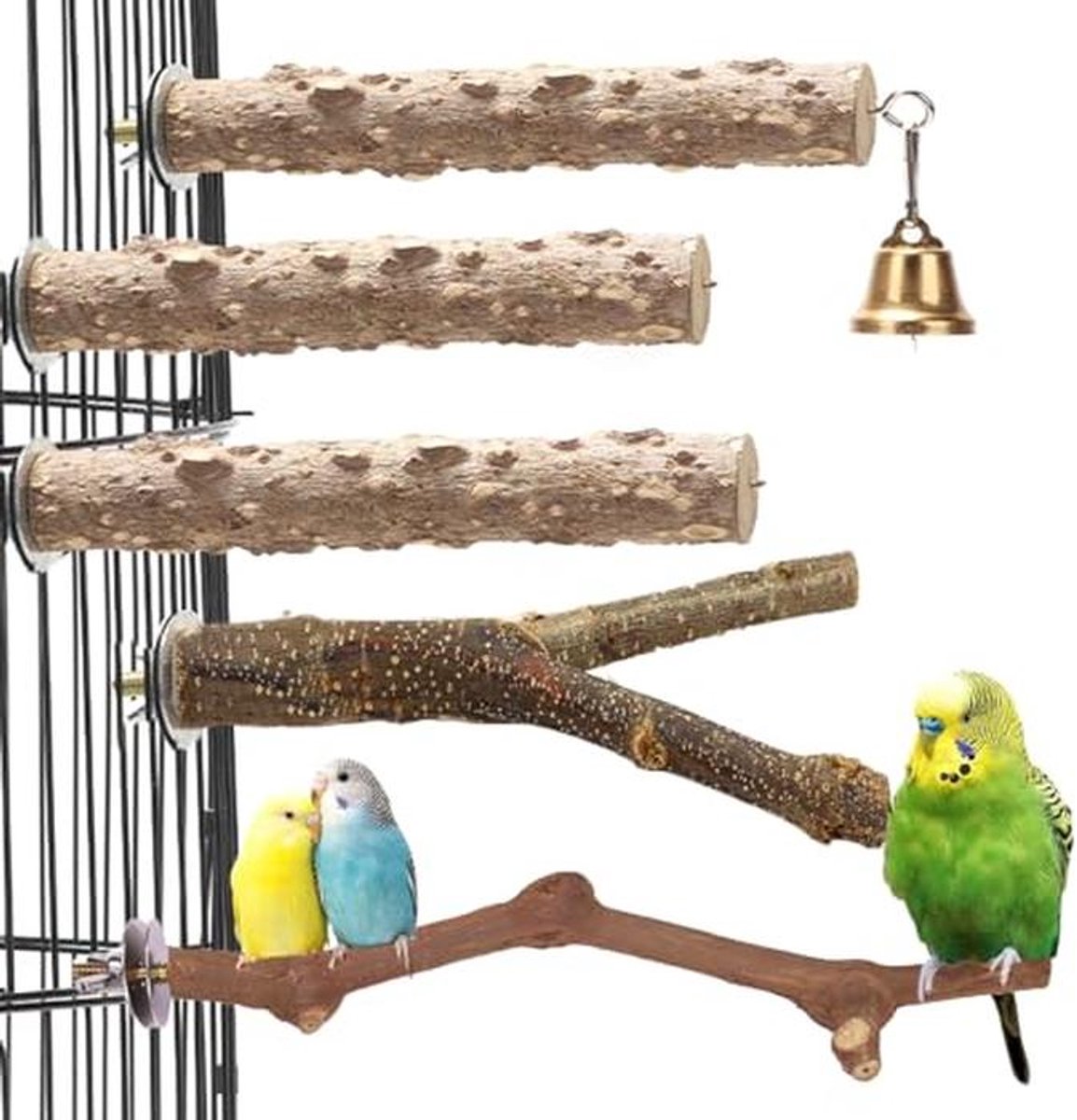 Set van 5 Houten Vogelzitstokken en Standaards voor Kleine tot Middelgrote Papegaaien