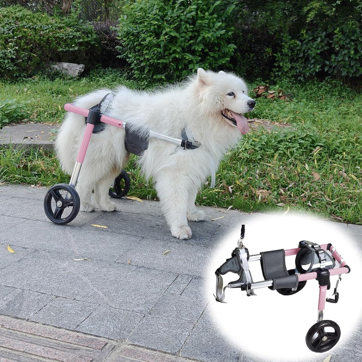 Hondenrolstoel Achterpoot - Hondenlooprek Hulp - Mobiliteit Ondersteunen - 4-wiel Ontwerp - Middelgroot Groot Ras - Roze