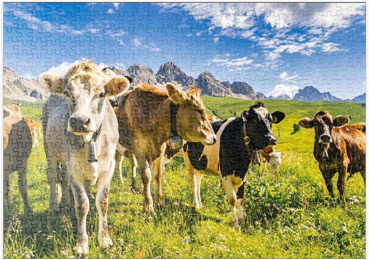 500 Stukjes Puzzel Idyllisch Alpenlandschap met Koeien - Premium Legpuzzel