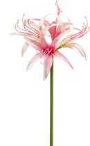 Kunstbloem Hippeastrum roze 73 cm