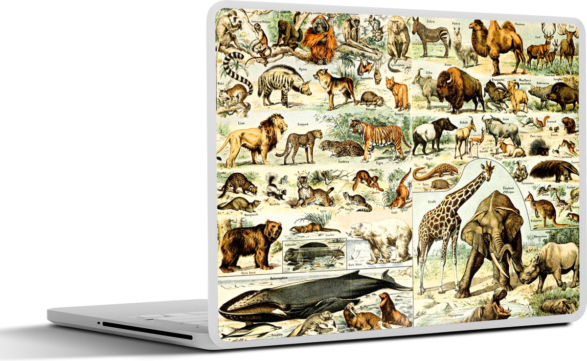 Laptop sticker - 13.3 inch - Dieren - Giraffe - Beer - 31x22,5cm - Laptopstickers - Laptop skin - Cover