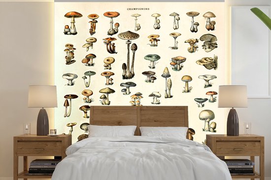 Behang - Fotobehang Paddenstoel - Herfst - Seizoenen - Vintage - Adolphe Millot - Natuur - Breedte 220 cm x hoogte 220 cm