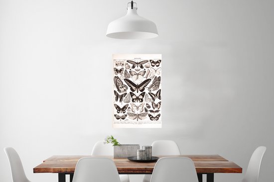 Poster Vlinder - Insecten - Dieren - 40x60 cm