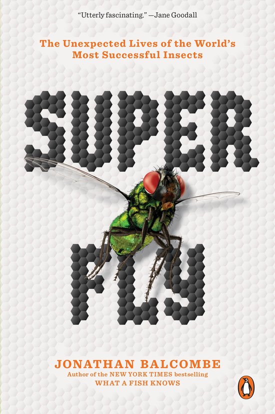 Super Fly - cover
