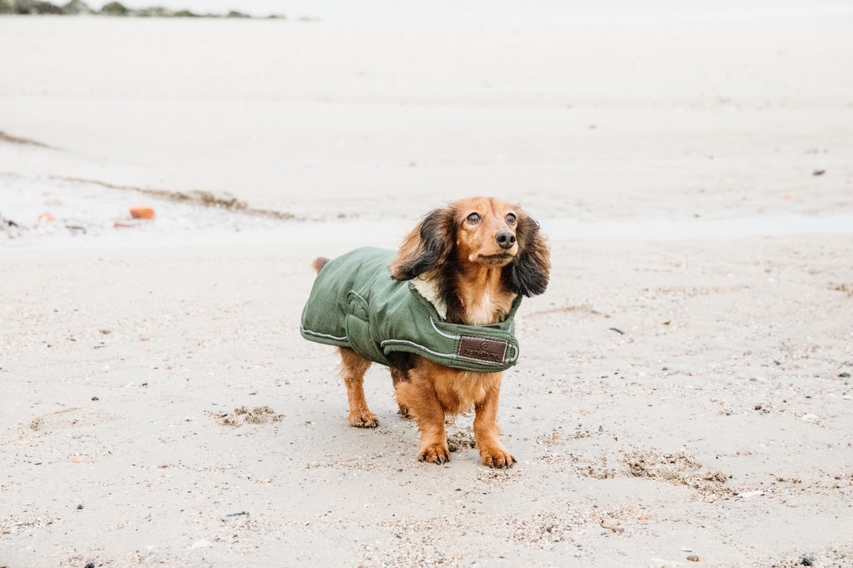 Manteau de Pluie Kentucky pour Chien