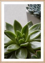 Poster Met Eiken Lijst - Groene Cactus Poster