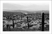 Walljar - Cactussen In De Woestijn - Zwart wit poster