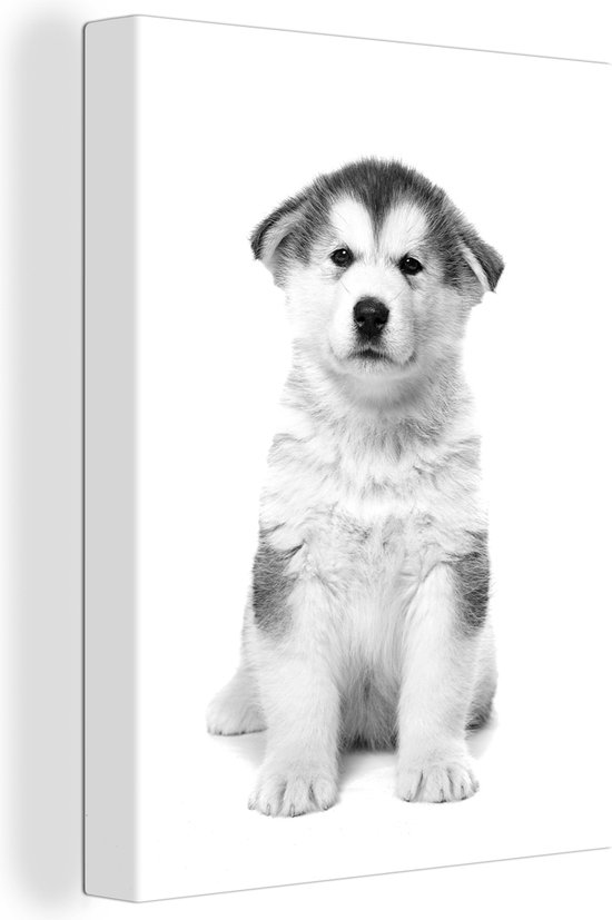 Canvas Schilderij Husky puppy op witte achtergrond - zwart wit - 30x40 cm - Wanddecoratie